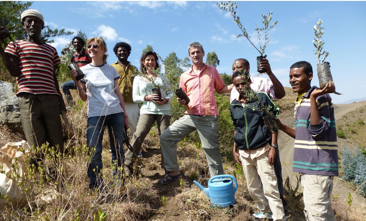 Tree planting ceremony